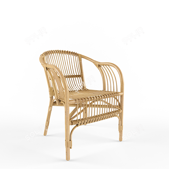 Pari Rattan Chair: Organic Elegance for Your Space 3D model image 2