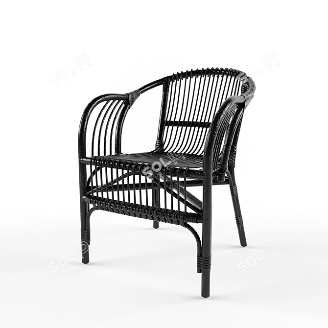 Pari Rattan Chair: Organic Elegance for Your Space 3D model image 3