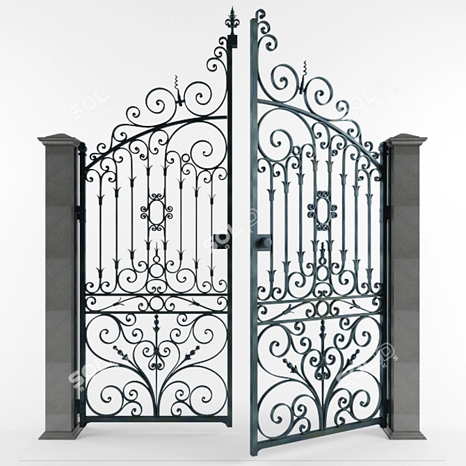 Elegant Wrought Iron Door Gate 3D model image 3