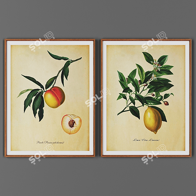 Wooden Frame Picture Set 3D model image 1