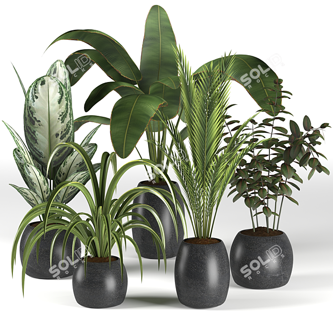 Botanical Bliss: 4 Plant Collection 3D model image 1