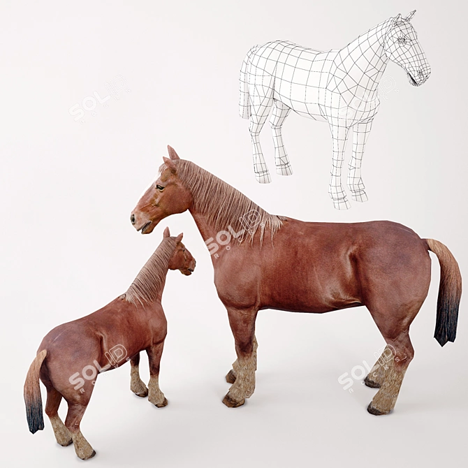 Realistic 3D Horse Model 3D model image 2