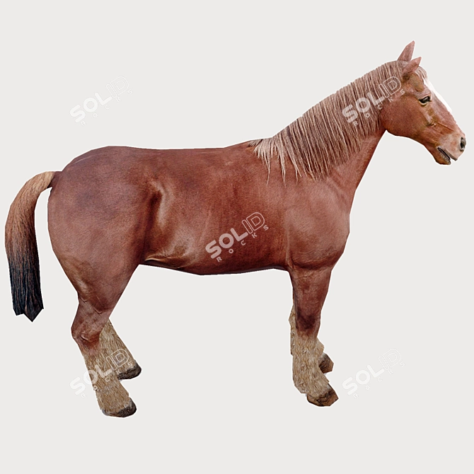 Realistic 3D Horse Model 3D model image 3