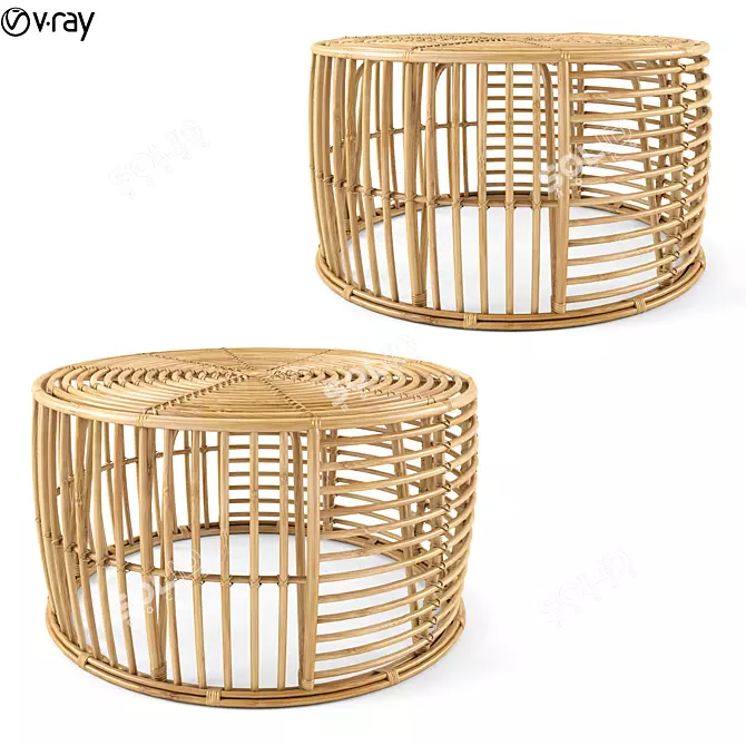 Java Rattan Coffee Table: Elegant and Natural 3D model image 1