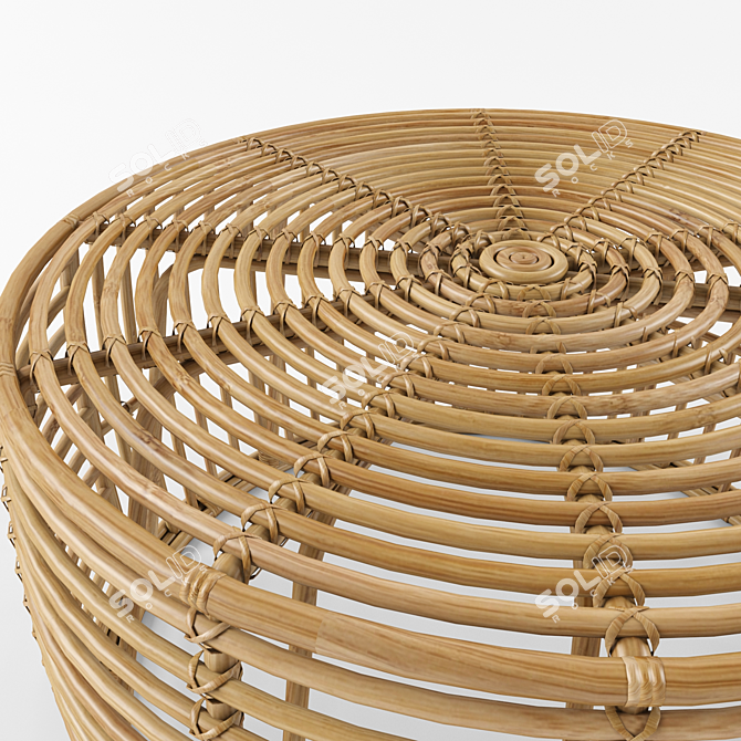 Java Rattan Coffee Table: Elegant and Natural 3D model image 2