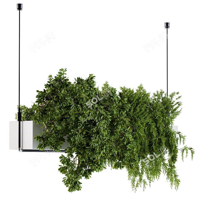 Lush Hanging Box Plants - Set of 70 3D model image 1
