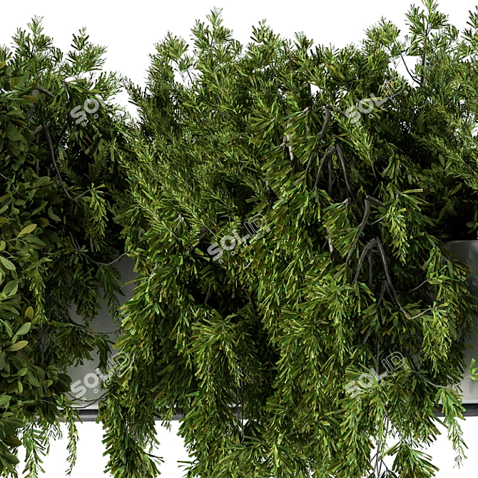 Lush Hanging Box Plants - Set of 70 3D model image 4
