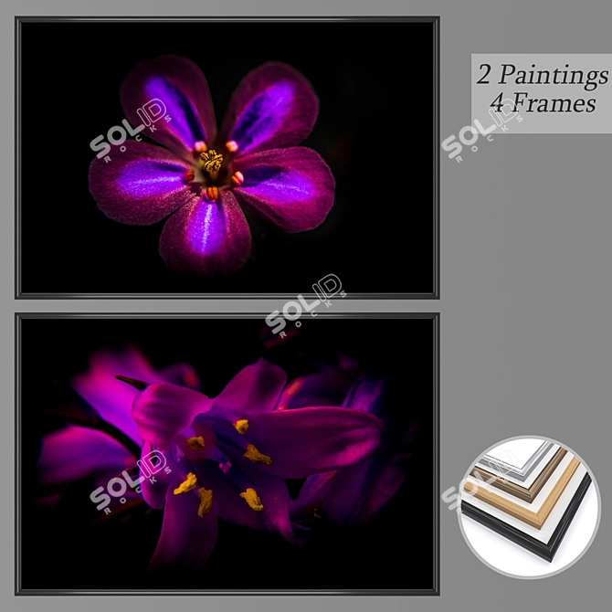 Gallery Collection: Set of 2 Paintings 3D model image 1