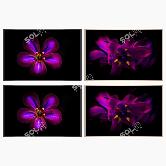 Gallery Collection: Set of 2 Paintings 3D model image 2