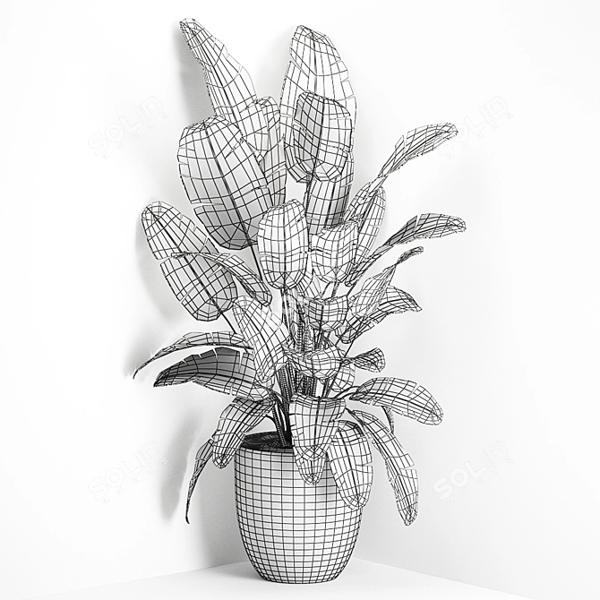 Exotic Corner Plant Collection 3D model image 5