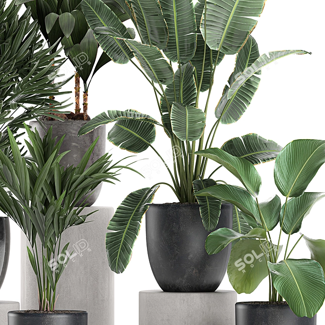 Exotic Plant Collection in Black Vase 3D model image 4