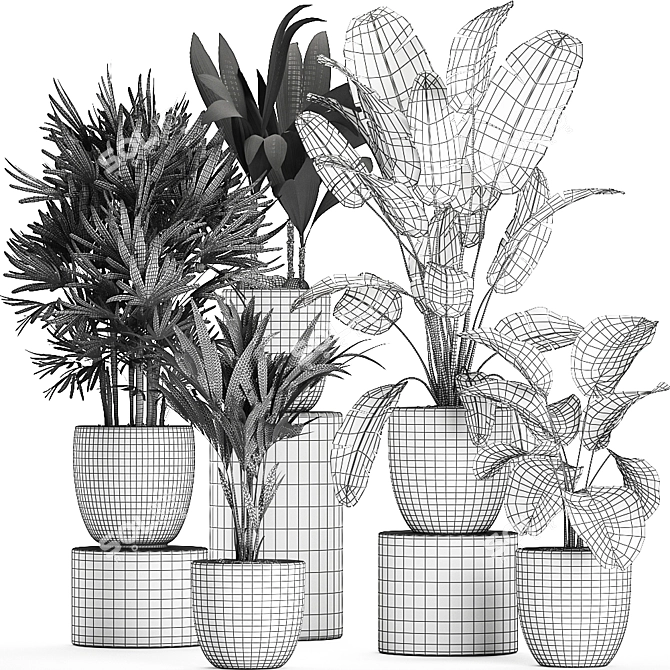 Exotic Plant Collection in Black Vase 3D model image 5