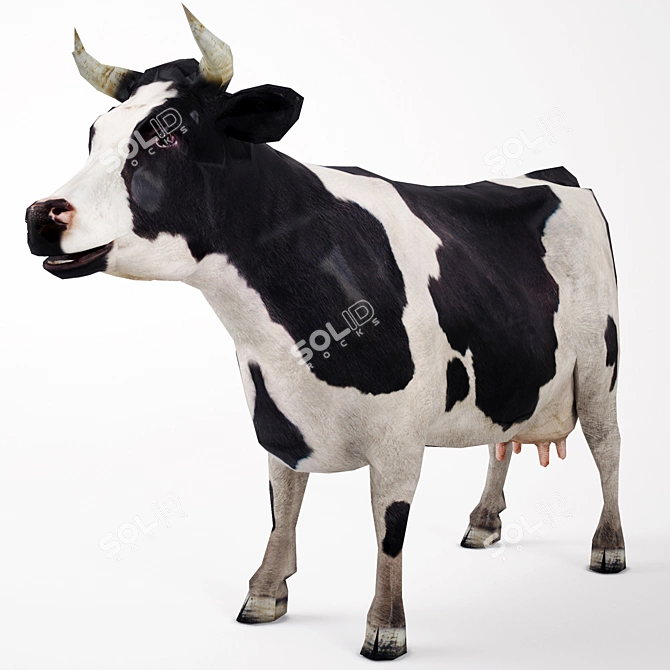Realistic Cow Model - High Quality Textures 3D model image 1