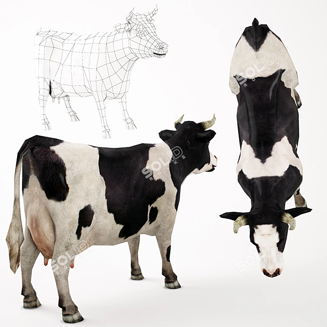 Realistic Cow Model - High Quality Textures 3D model image 2