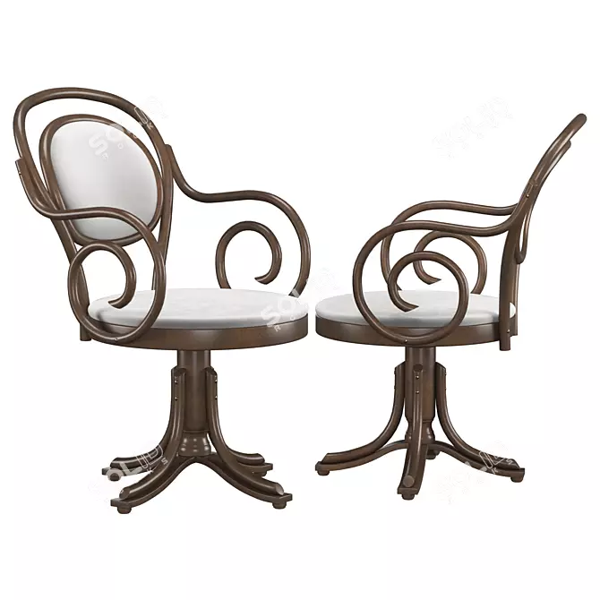 Vintage Bentwood Chair B-8033 - Elegant & Stylish 3D model image 1