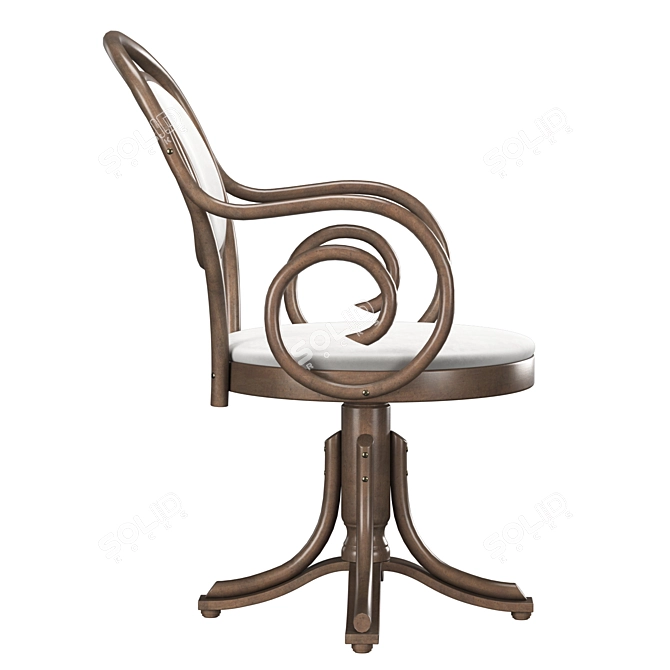 Vintage Bentwood Chair B-8033 - Elegant & Stylish 3D model image 3