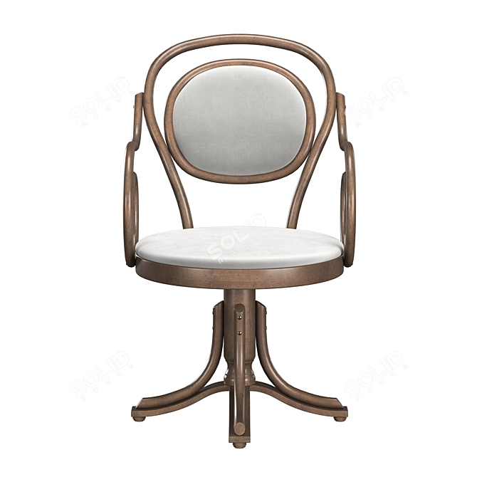 Vintage Bentwood Chair B-8033 - Elegant & Stylish 3D model image 4