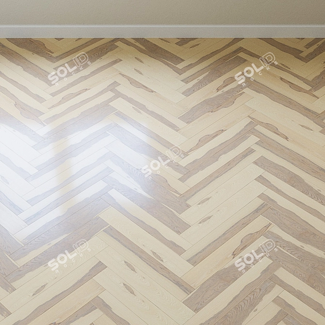 French Ash Chevron Parquet 3D model image 3