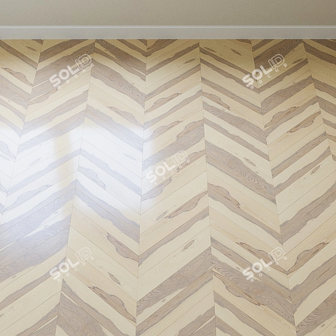 French Ash Chevron Parquet 3D model image 4