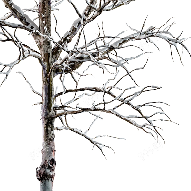 Frozen Beauty - Winter Tree 3D model image 2