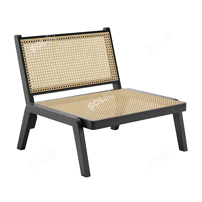 Walnut Rattan Low Lounge Chair: Premium Solid Wood Design 3D model image 1