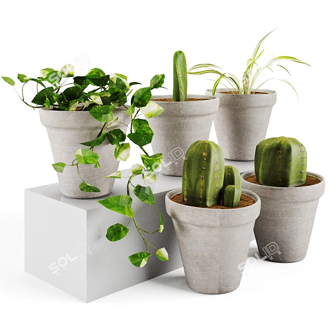 Plant Decor Vases - Indoor & Outdoor Ambience 3D model image 1