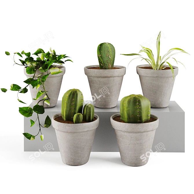 Plant Decor Vases - Indoor & Outdoor Ambience 3D model image 2