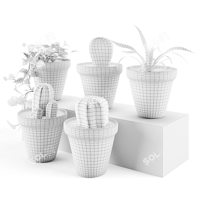 Plant Decor Vases - Indoor & Outdoor Ambience 3D model image 4