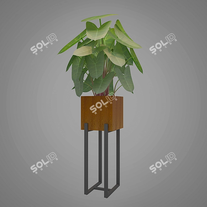 Wooden MS Indoor Planter Box 3D model image 1