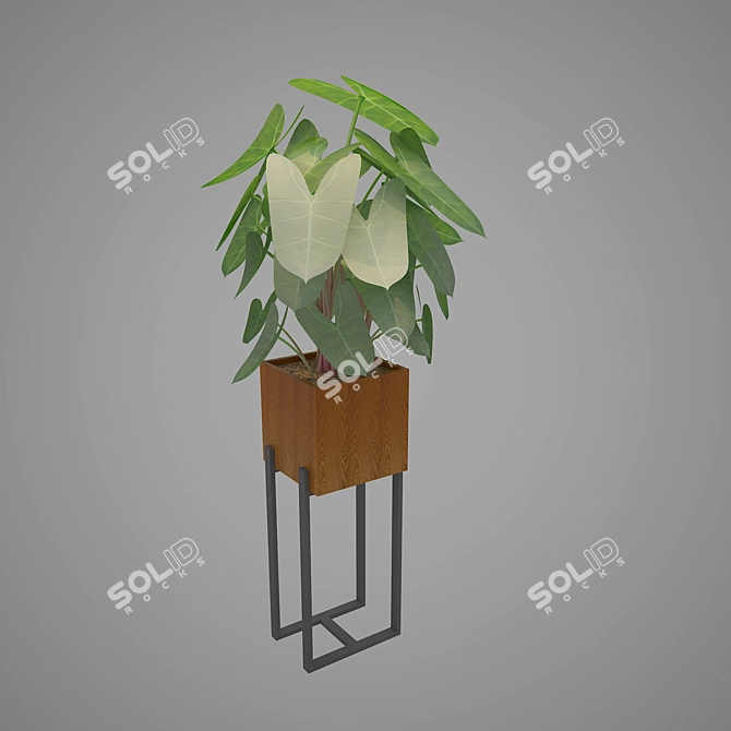 Wooden MS Indoor Planter Box 3D model image 2