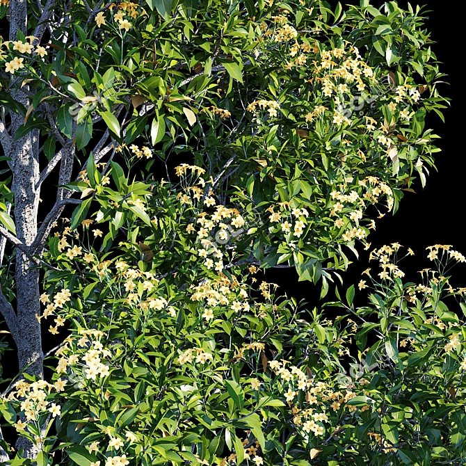 Native Frangipani: Vray and Corona Material 3D model image 5