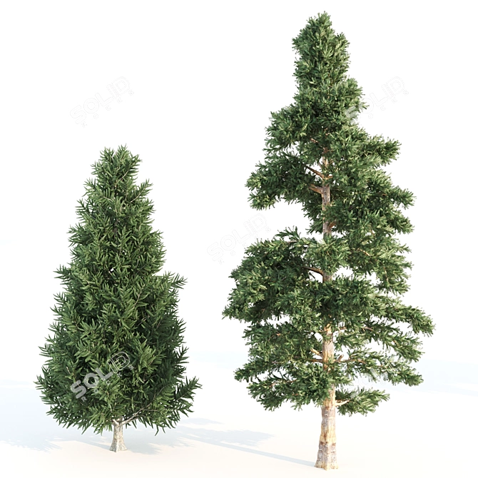 Lush Variety of 12 Vray Trees 3D model image 3