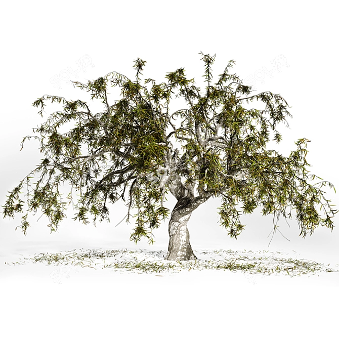 Dead-Tree Mesh Render Collection 3D model image 5