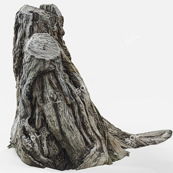 3D Sculpted Stump: High-Quality Scan 3D model image 2