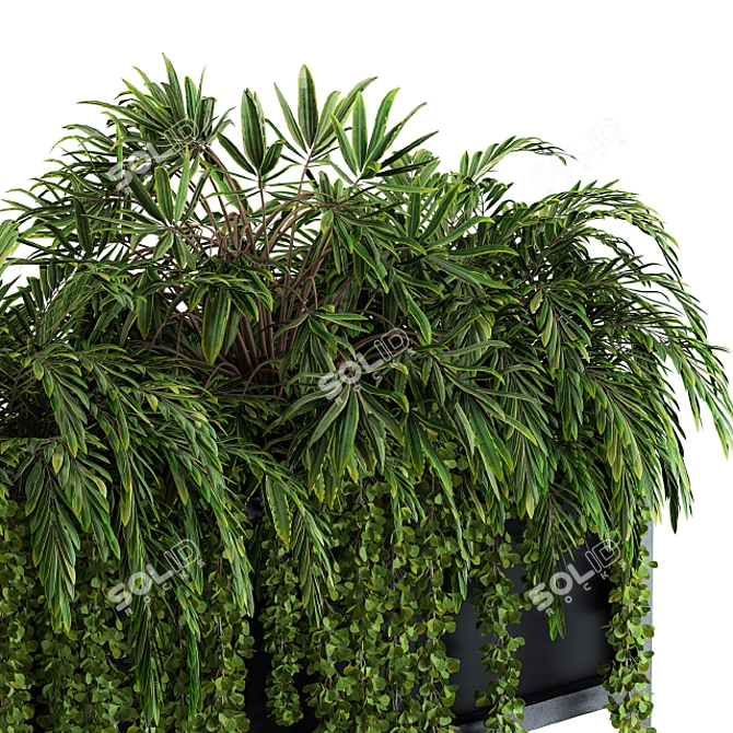 Tropical Paradise Plants Collection 3D model image 3