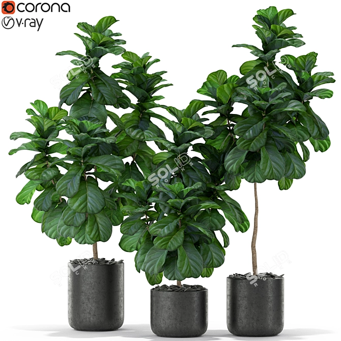 366 Stunning Plants Collection 3D model image 1