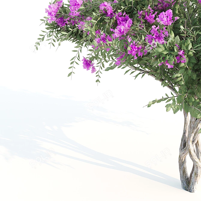 4m Tall Myrtle Trees 3D model image 2