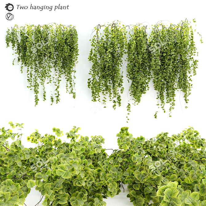 Leafy Greens Hanging Plant Pair 3D model image 1