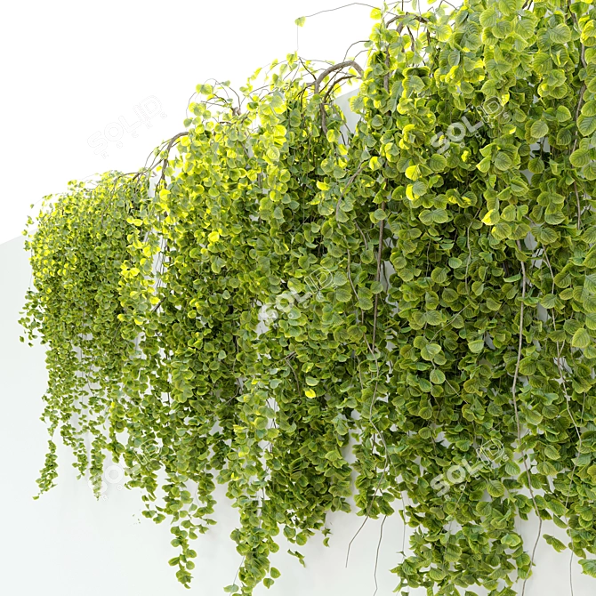 Leafy Greens Hanging Plant Pair 3D model image 2