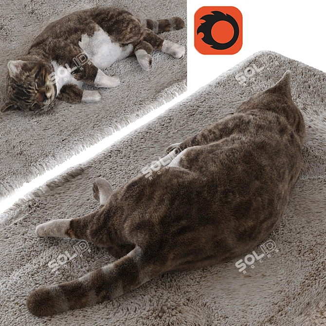 3D Cat Model - Static 3D model image 1