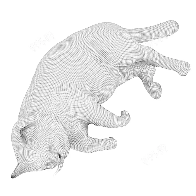 3D Cat Model - Static 3D model image 11
