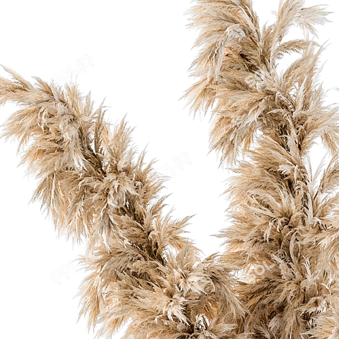 Concrete Pampas: Dry Plants 29 3D model image 2