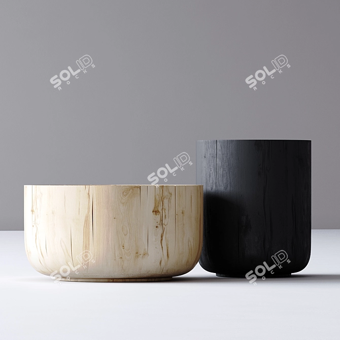 Coastal Coffee Table Set 3D model image 9