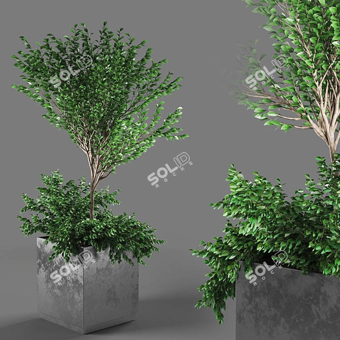 PolyCount Plant112: Unique & Detailed 3D model image 1