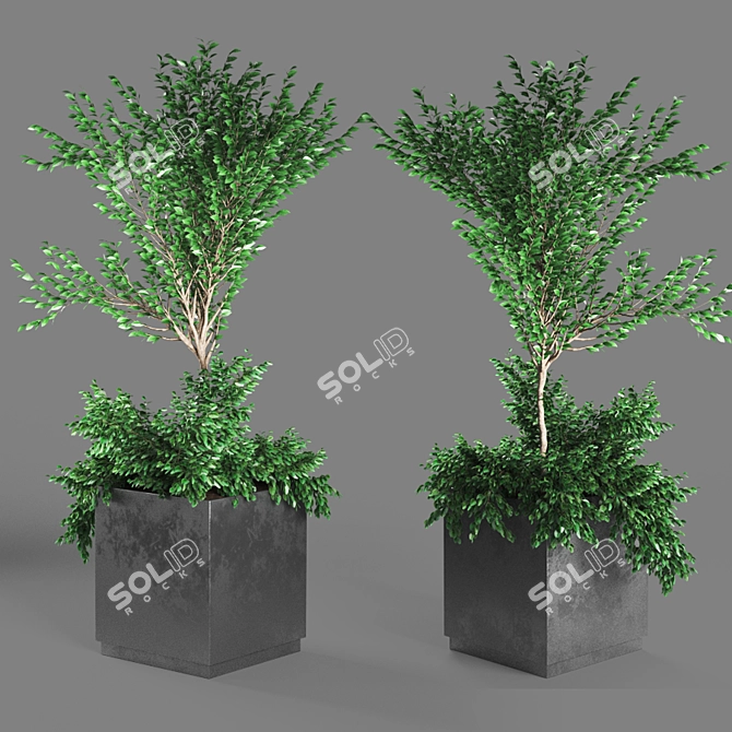 PolyCount Plant112: Unique & Detailed 3D model image 2