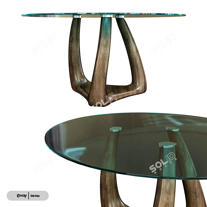 Modern Minimalist Tonin Casa Rizoma Table 3D model image 1