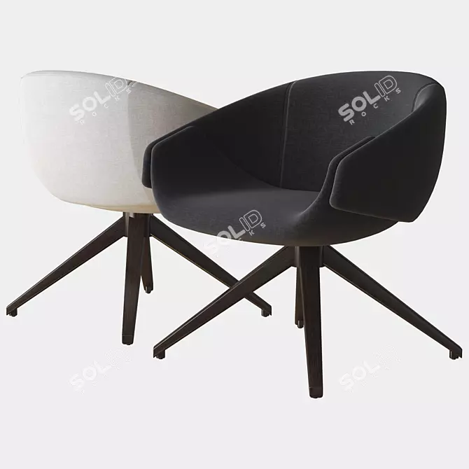 SP01 Anita Swivel Armchair, 3D Model 3D model image 1