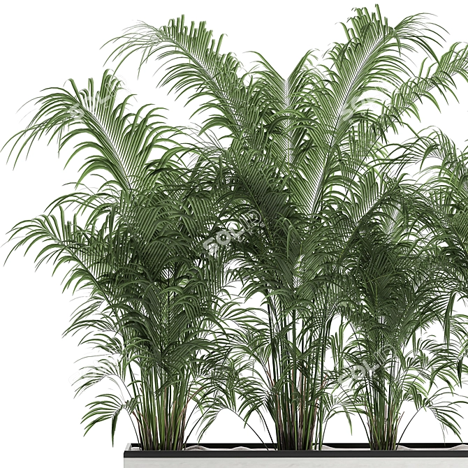 Tropical Oasis Plant Collection 3D model image 2