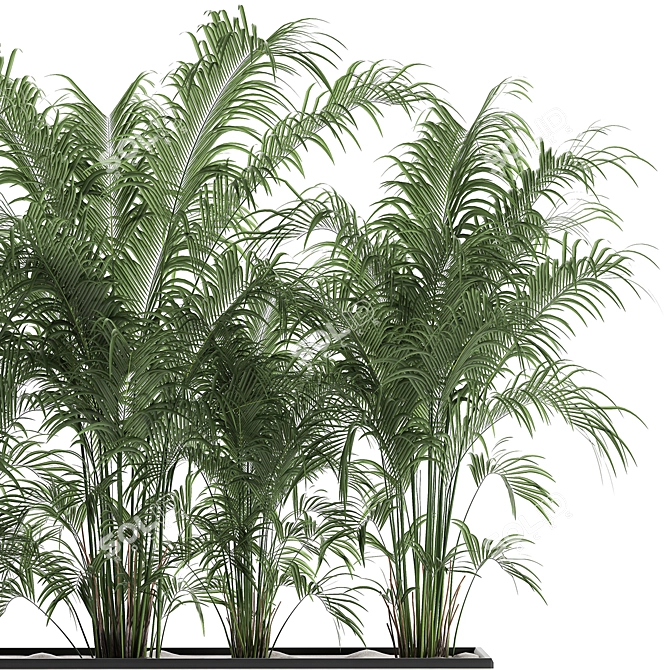 Tropical Oasis Plant Collection 3D model image 3