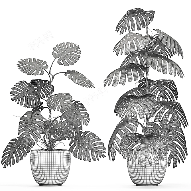 Exotic Monstera: Perfect for Indoors & Outdoors 3D model image 5